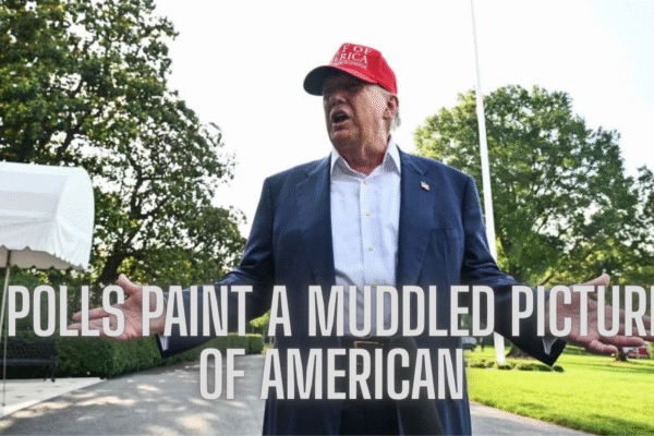 Polls Paint a Muddled Picture of American Politics Polls Paint a Muddled Picture of American